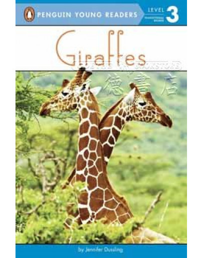 Giraffes