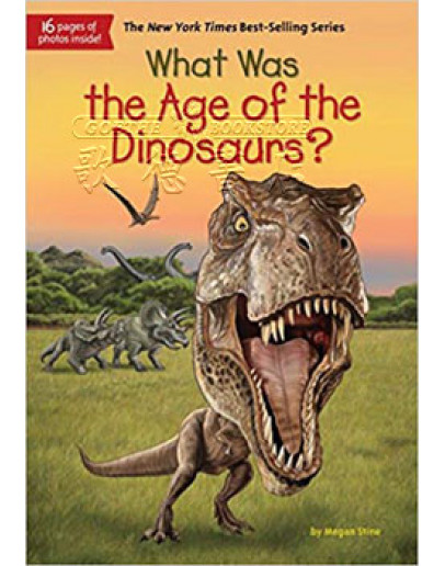 What Was The Age Of The Dinosaurs?