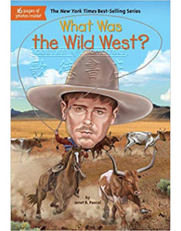 What Was The Wild West?