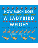 How Much Does A Ladybird Weigh?