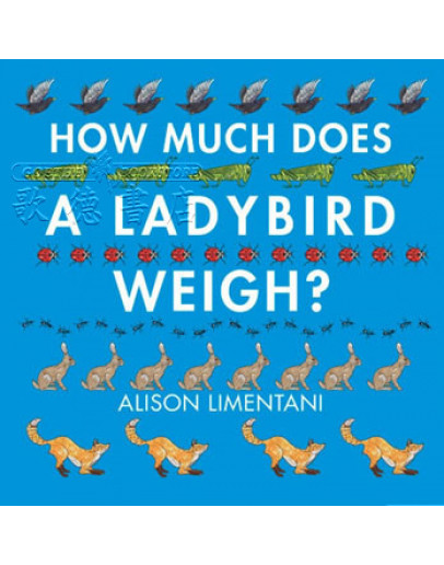 How Much Does A Ladybird Weigh?