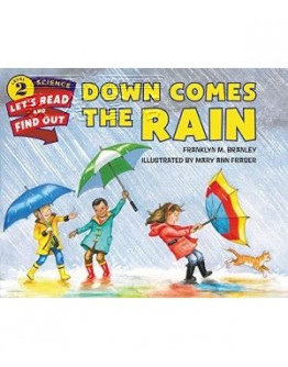 Down Comes The Rain