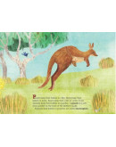 Super Marsupials: Kangaroos, Koalas, Wombats, And More