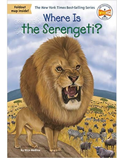 Where Is The Serengeti?