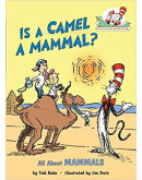 Is A Camel A Mammal?: All About Mammals