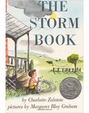 The Storm Book