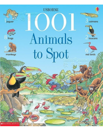 (特賣) Usborne 1001 Things To Spot (for School Only)