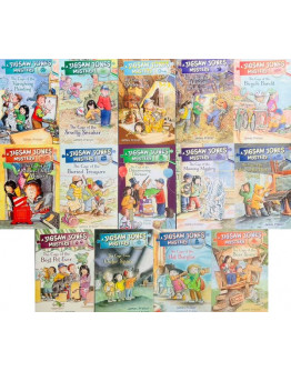 Jigsaw Jones Mysteries 14 Books Set